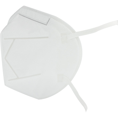 Respirateur jetable, N95, Certifi&eacute; NIOSH, Taille unique Chandler Sales