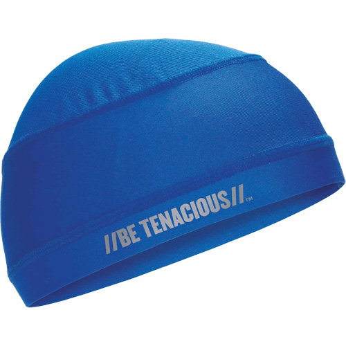 Chill-Its 6632 Cooling Skull Cap, Blue Chandler Sales
