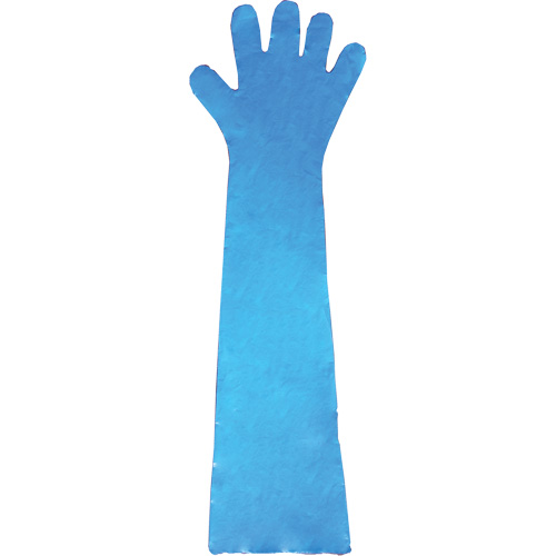 Gants jetables en latex, Gants jetables, Gants jetables en vinyle, Poly&eacute;thyl&egrave;ne, Sans poudre, Bleu Chandler Sales