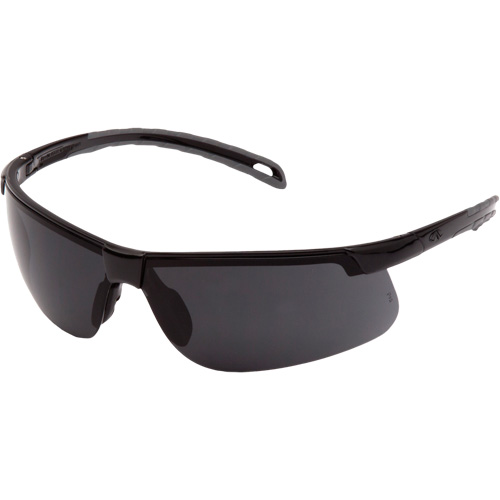 Ever-Lite&reg; Safety Glasses, Dark Grey Lens, ANSI Z87+/Meets/Exceeds CSA Z94.3 Chandler Sales