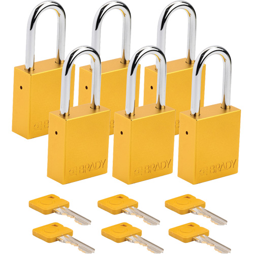 Cadenas de s&eacute;curit&eacute;, Cadenas de s&eacute;curit&eacute;, Cl&eacute;s diff&eacute;rentes, Aluminium, Largeur de 1-1/2" Chandler Sales