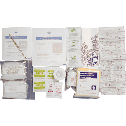 Recharge pour trousse de premiers soins Shield, R&eacute;pond &agrave; la norme CSA Z1220-17 type 1 individuelle, Personnel (1 travailleur) Chandler Sales