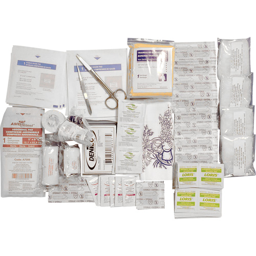 Trousse de premiers soins de base et recharge Shield, R&eacute;pond &agrave; la norme CSA Z1220-17 type 2 environnements &agrave; faible risque, Petit (2-25 travailleurs) Chandler Sales