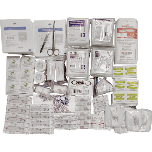 Trousse de premiers soins de base et recharge Shield, R&eacute;pond &agrave; la norme CSA Z1220-17 type 2 environnements &agrave; faible risque, Grand (51-100 travailleurs) Chandler Sales
