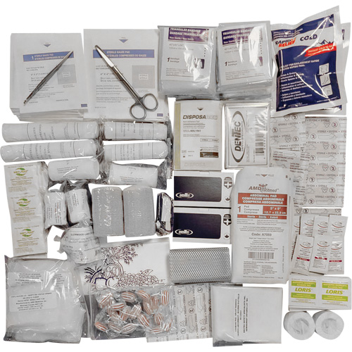 Trousse de premiers soins de interm&eacute;diaire et recharge Shield, R&eacute;pond &agrave; la norme CSA Z1220-17 type 3 environnements &agrave; haut risque, Moyen (26-50 travailleurs) Chandler Sales