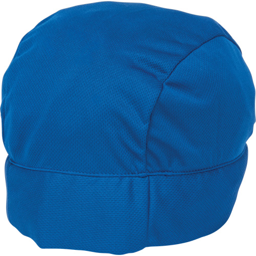 Cooling Skull Cap, Blue Chandler Sales