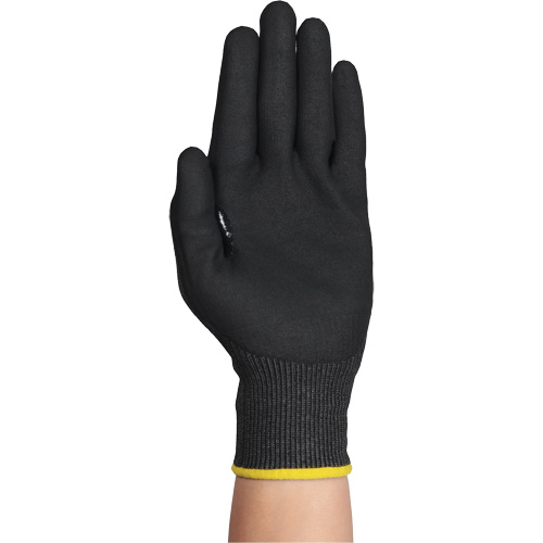 Gants r&eacute;sistants &agrave; la coupe HYFLEX 11-594, Taille 6/T-petit, Calibre 18, Rev&ecirc;tement Nitrile, Enveloppe en PEHP/Intercept, ASTM ANSI niveau A9/EN 388 niveau F Chandler Sales