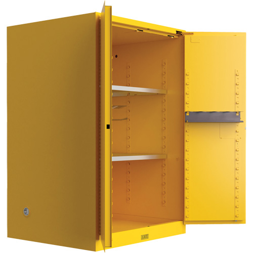 Armoire de s&eacute;curit&eacute; pour produits inflammables Utili-Guard+, 45 gal., 2 Porte(s), 43" La x 65" h x 22" p Chandler Sales