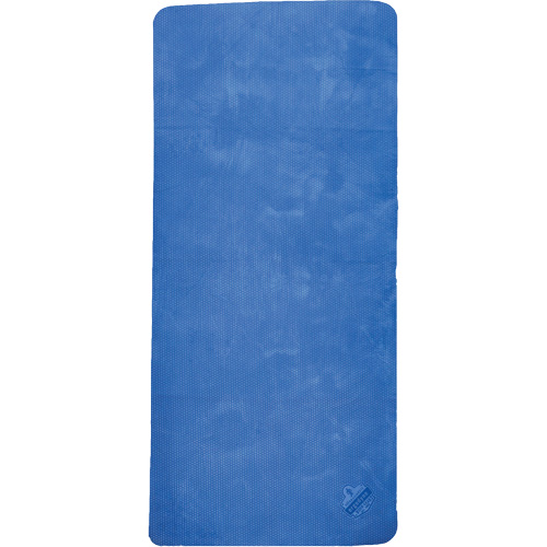 Chill-Its 6601 Economy Evaporative Cooling Towel, Blue Chandler Sales
