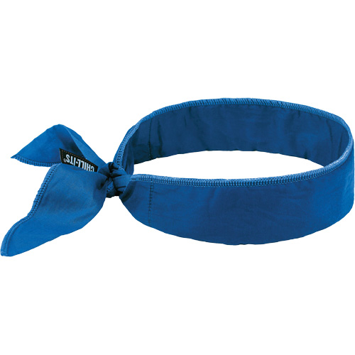 Chill-Its 6702 Cooling Headband with Embedded Polymers & Tie Closure, Blue Chandler Sales