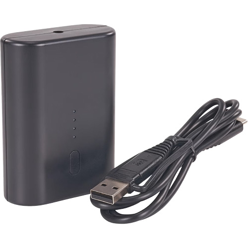 Batterie externe portative N-Ferno avec cordon USB-C Chandler Sales