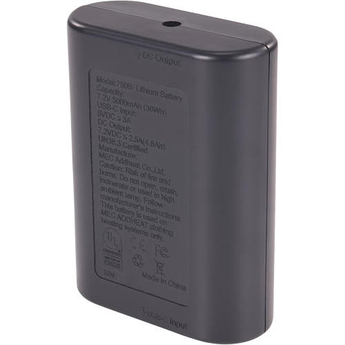 Batterie externe portative N-Ferno avec cordon USB-C Chandler Sales