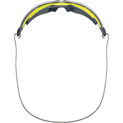 Lunettes de s&eacute;curit&eacute; MX350 avec joint, Lentille Transparent, Antibu&eacute;e/Anti-&eacute;gratignures, ANSI Z87+/R&eacute;pond ou surpasse la norme CSA Z94.3 Chandler Sales