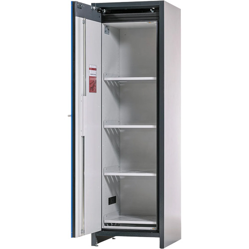 Lithium-ion Storage Cabinet with 90-Minute Fire Resistance Chandler Sales