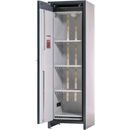 Lithium-ion Storage Cabinet with Charging & 90-Minute Fire Resistance Chandler Sales