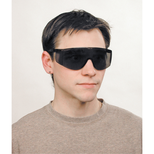 Lunettes de s&eacute;curit&eacute; Tacoma, Lentille Grise/fum&eacute;e, Anti-&eacute;gratignures, ANSI Z87+ Chandler Sales