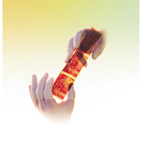 Doigtiers Qualatex en latex sans poudre QRP Chandler Sales