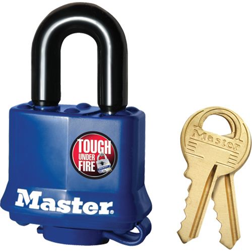 Cadenas r&eacute;sistant aux intemp&eacute;ries, Cl&eacute;s diff&eacute;rentes, Acier lamin&eacute;, Largeur de 1-9/16" Chandler Sales