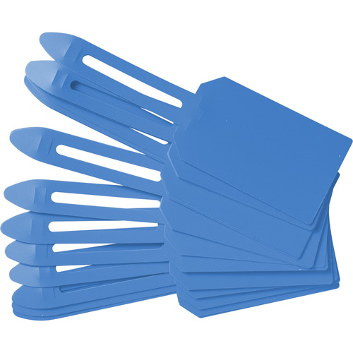 &eacute;tiquettes de cadenassage vierges en plastique, Plastique, 3-1/4" la x 5-4/5" h, Vierge Chandler Sales