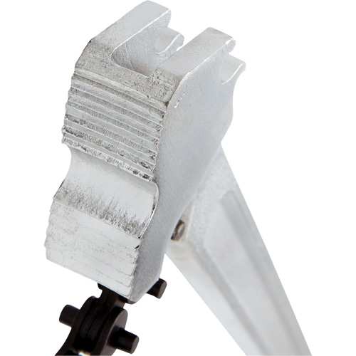 Cl&eacute; &agrave; chaîne Chandler Sales