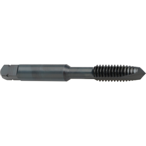Taraud &agrave; entr&eacute;e h&eacute;licoidale, Acier rapide au cobalt, Filet de 8-32, 2-1/8" l Chandler Sales