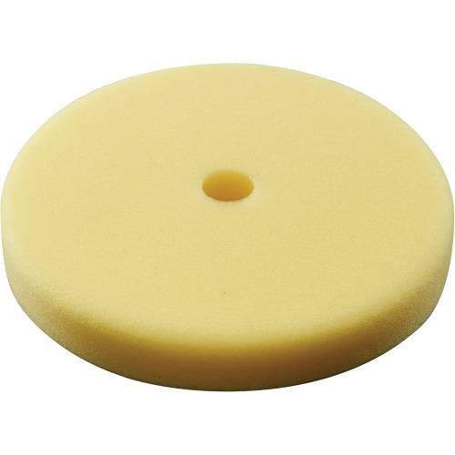 Polishing Pad, 7" Dia. Chandler Sales