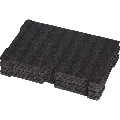 Customizable Foam Insert Chandler Sales