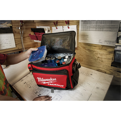 Packout Cooler, 20.5 L Capacity Chandler Sales