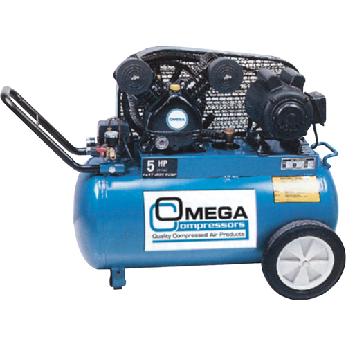 Professional Series Air Compressors, Electric, 16.6 Gal. (20 US Gal), 135 PSI, 115/1 V Chandler Sales