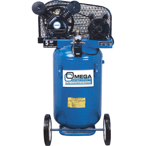 Professional Series Air Compressors, Electric, 16.6 Gal. (20 US Gal), 125 PSI, 115/1 V Chandler Sales