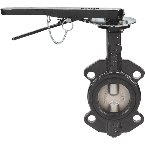 Butterfly Valves - Series BFV, 5" Pipe, 225 PSI Chandler Sales