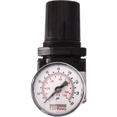 Regulators, 3/8" NPT, 150 PSI Max. PSI, Modular Chandler Sales