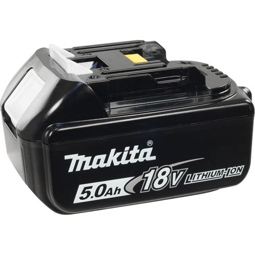 Battery, Lithium-Ion, 18 V, 5.0 A Chandler Sales