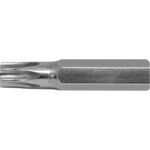 Embout de rechange pour tournevis multi embouts Stubby, Torx, 6, Prise 1/4" Chandler Sales
