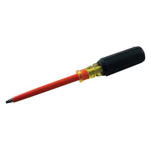 Square Screwdriver Chandler Sales