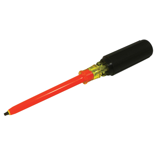 Square Screwdriver Chandler Sales