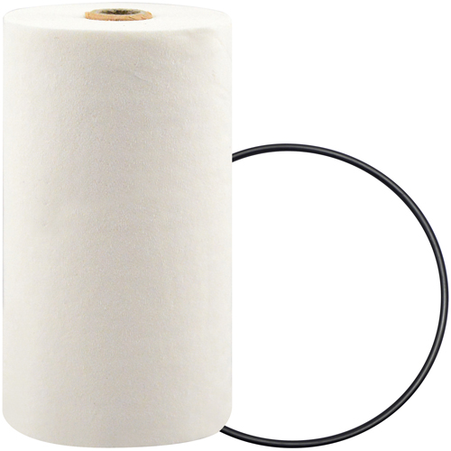 P7247 Filtre pour liquide de refroidissement &agrave; visser avec additif BTE Chandler Sales