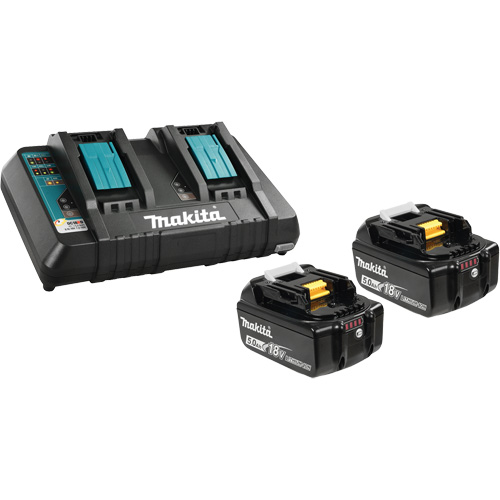 Li-Ion Battery & Dual-Port Charger Kit, 18 V, Lithium-Ion Chandler Sales