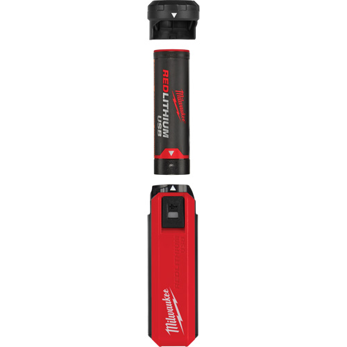 Alimentation et chargeur USB Redlithium, 4 V, Lithium-ion Chandler Sales