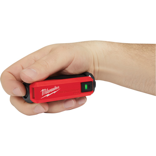 Alimentation et chargeur USB Redlithium, 4 V, Lithium-ion Chandler Sales