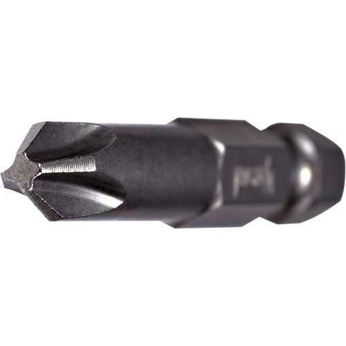 Embout pour outil &eacute;lectrique, Phillips, Embout #2, Prise 1/4", Longueur 2-3/4" Chandler Sales