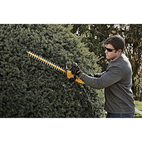 Taille-haie sans fil Max, 22", 20 V, &agrave; pile Chandler Sales