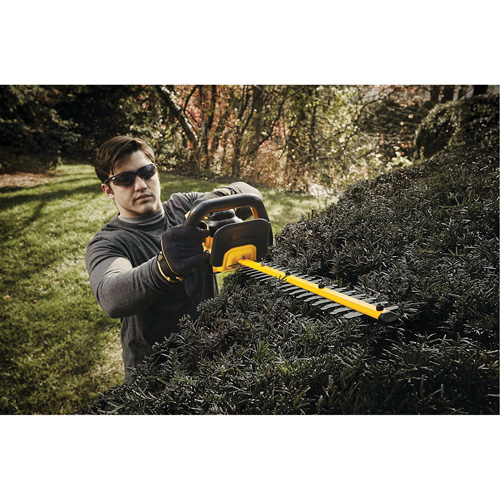 Taille-haie sans fil Max, 22", 20 V, &agrave; pile Chandler Sales