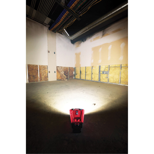 M12 Rover Mounting Flood Light, LED, 250 W, 1000 Lumens Chandler Sales