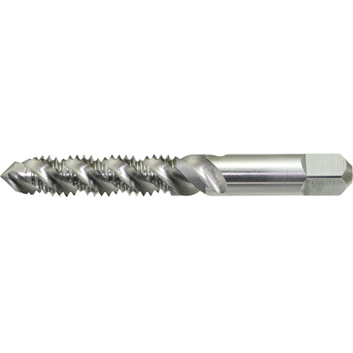 Taraud &agrave; main &agrave; cannelure spiral&eacute;e DRILLCO, Acier rapide, Filet 1/4"-20 Chandler Sales