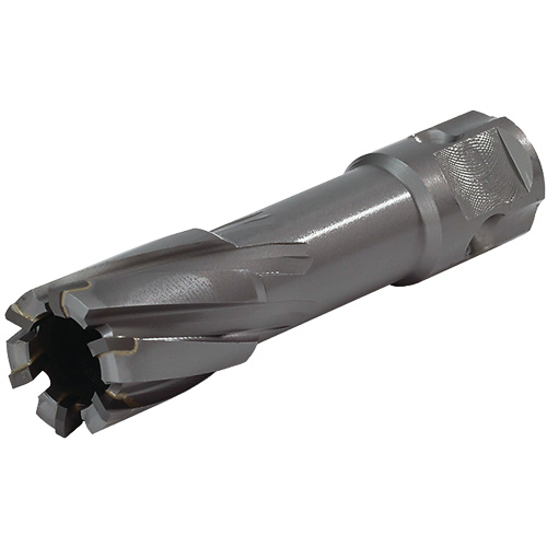 Universal Shank Annular Cutter, 1/2" Diameter, Carbide, 1" Depth of Cut, 3/4" Shank Chandler Sales
