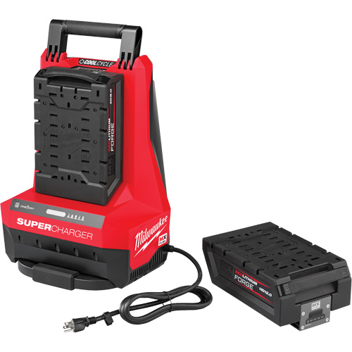 Super chargeur MX Fuel, 120 V, Lithium-ion Chandler Sales