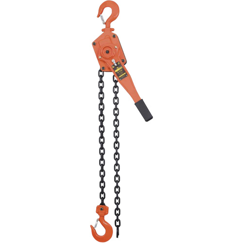 VLP Series Chain Hoists, 5' Lift, 6000 lbs. (3 tons) Capacity, Steel Chain Chandler Sales