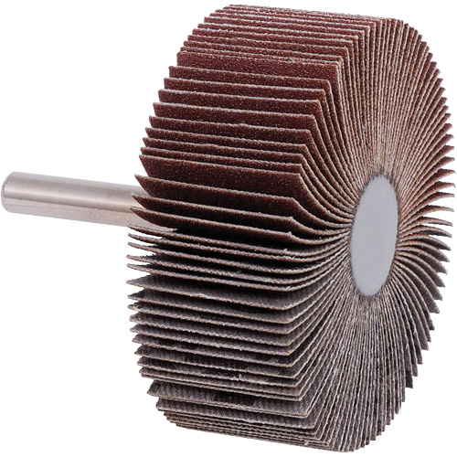 Disques &agrave; lamelles, Grain 40, 2-1/2" x 1" Chandler Sales