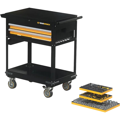 Mechanics Tool Set in Modular Foam Trays with Storage Unit, 194 Pieces Chandler Sales